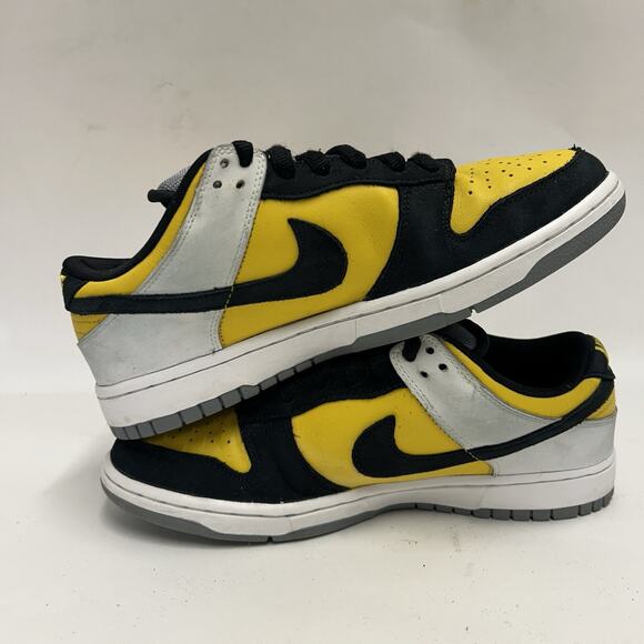 Nike SB Dunk Low Pro “BIC” 304292-701 main image 8